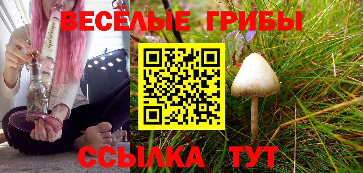 Псилоцибиновые грибы Psilocybine cubensis  Вход с VPN  Грозный 